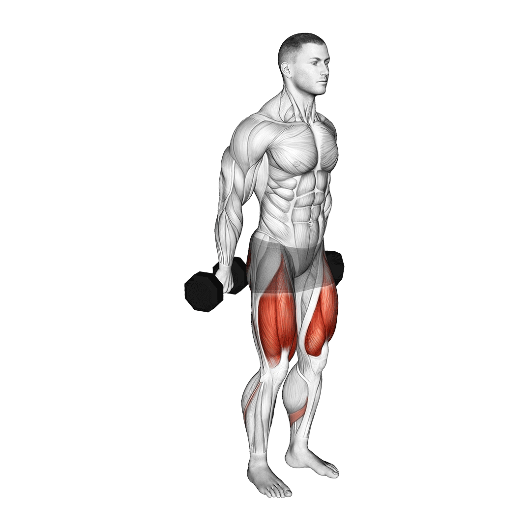 dumbbell hack squat