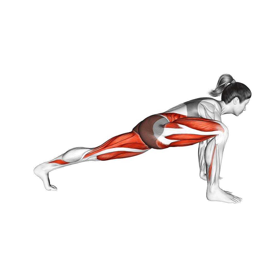 flying lizard