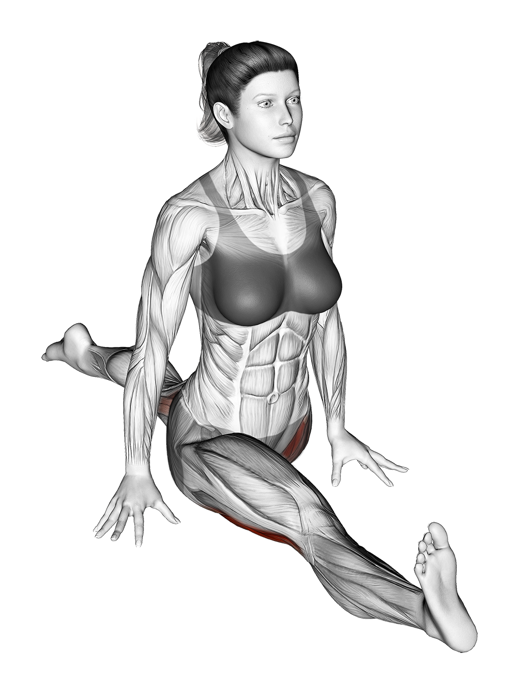 front split pose
