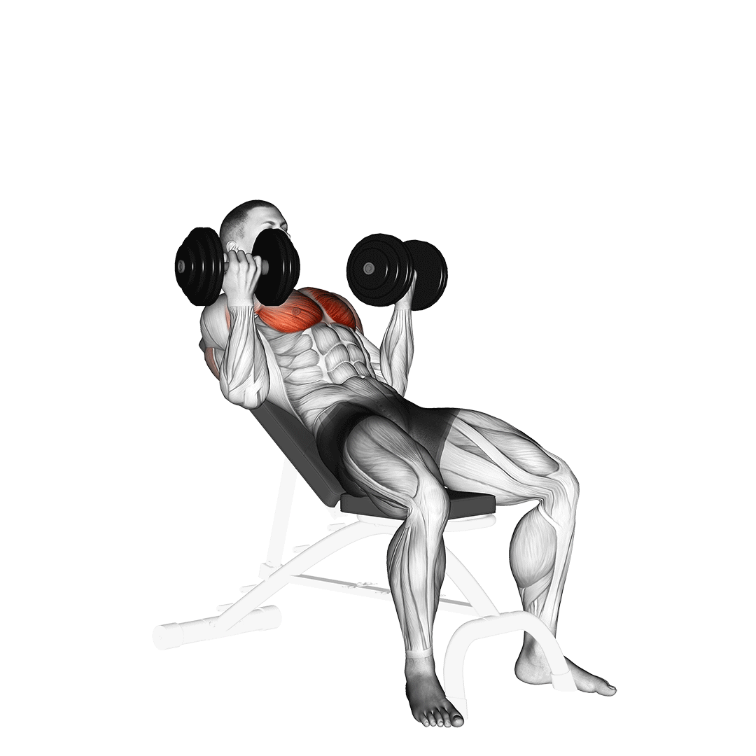 incline supinated dumbbell chest press