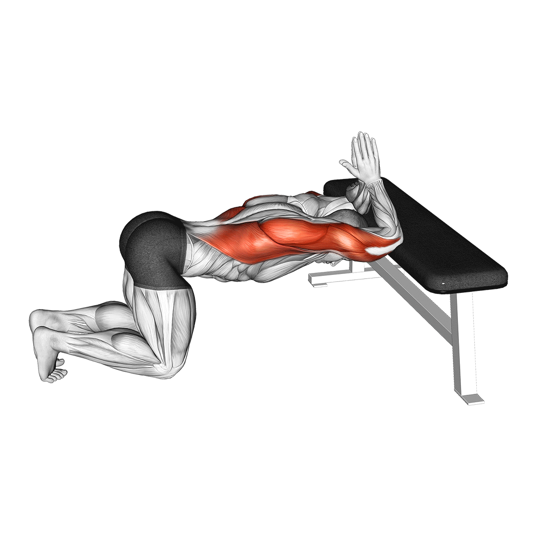 kneeling lat stretch on bench