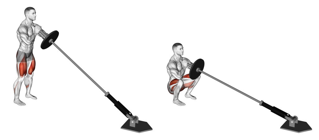 landmine squat muscles