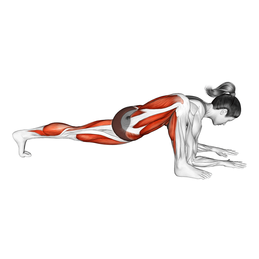 lizard pose stretch