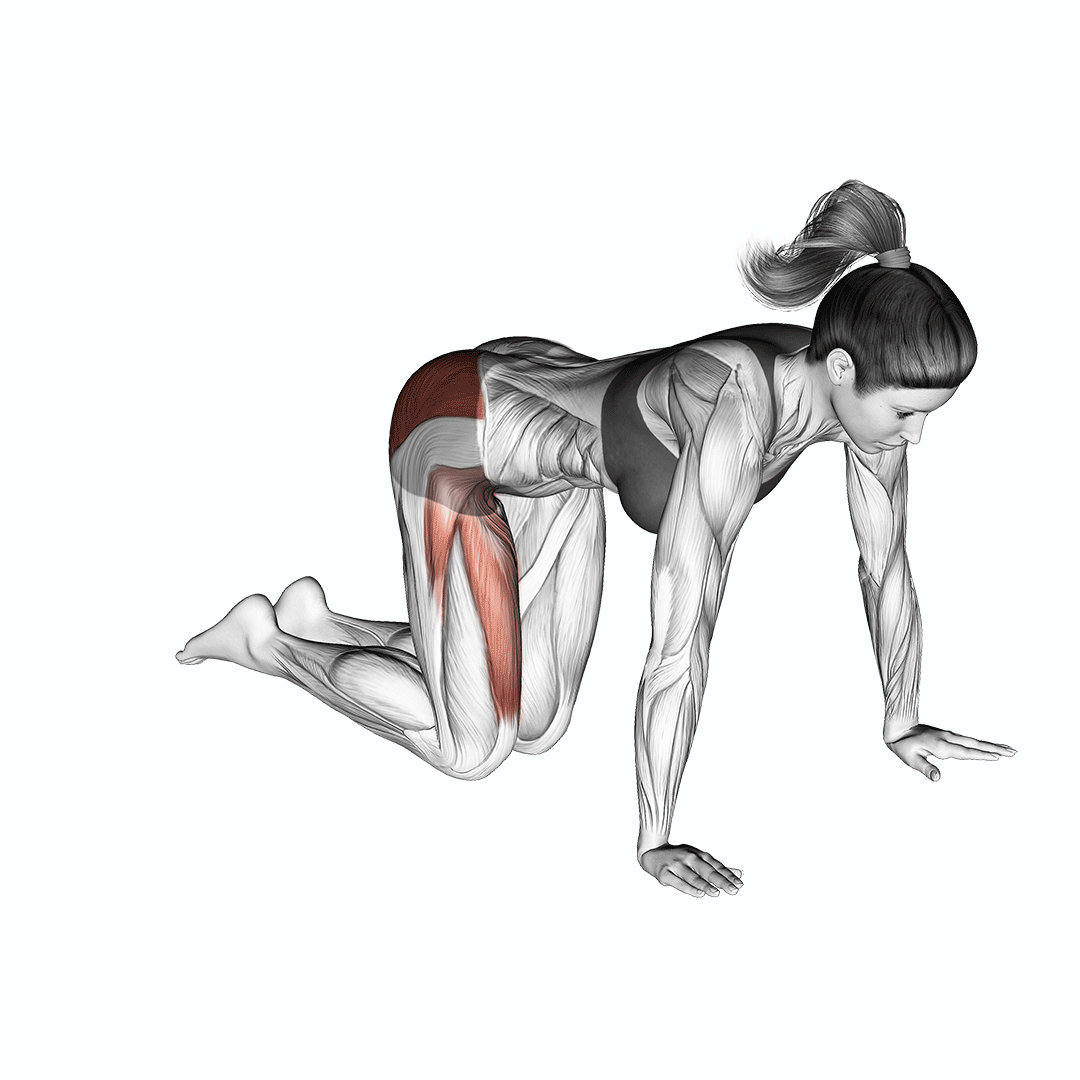 prone hip circle