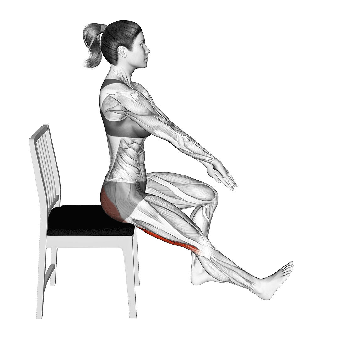 seated hamstring stretch