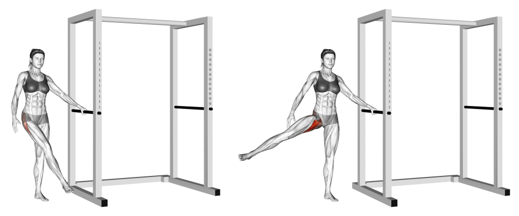 side to side leg swing muscles