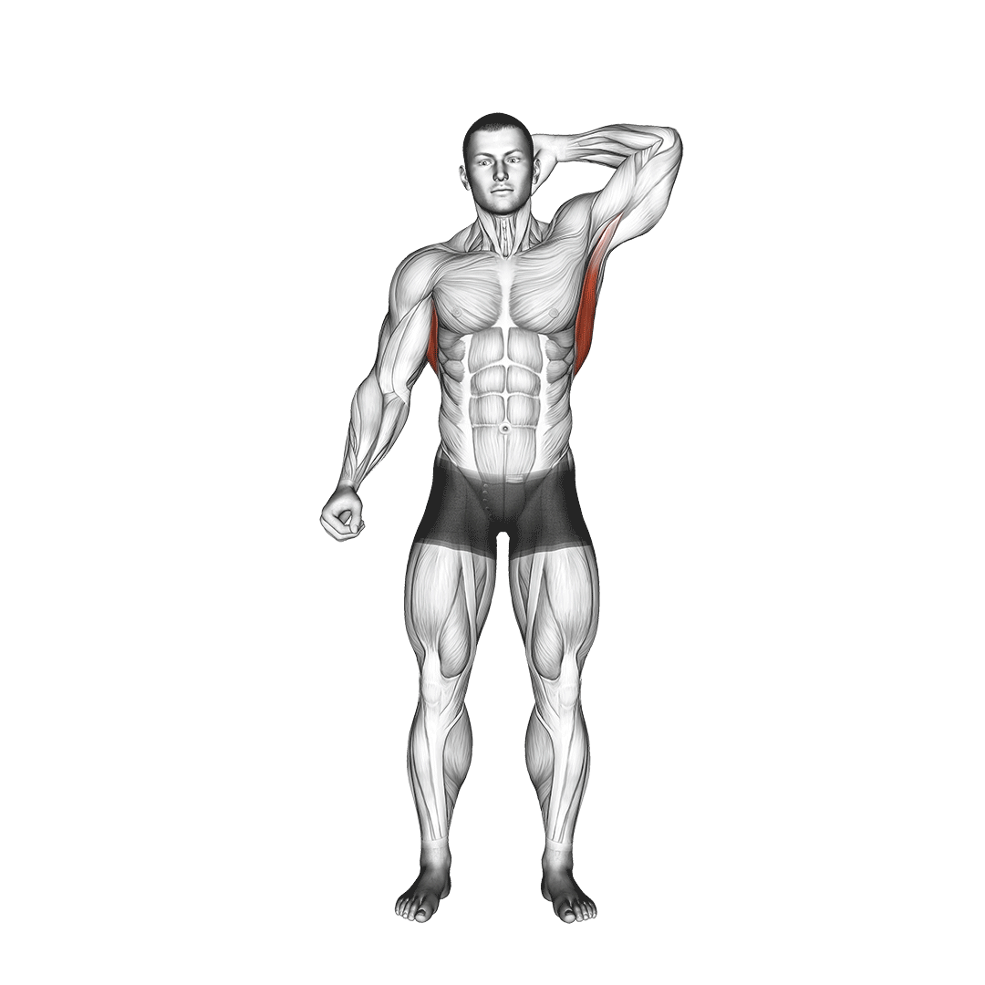 standing lat stretch