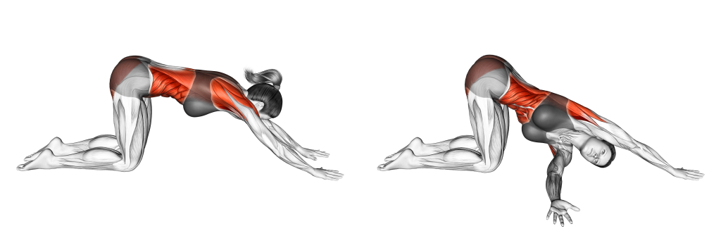 thread the needle muscles