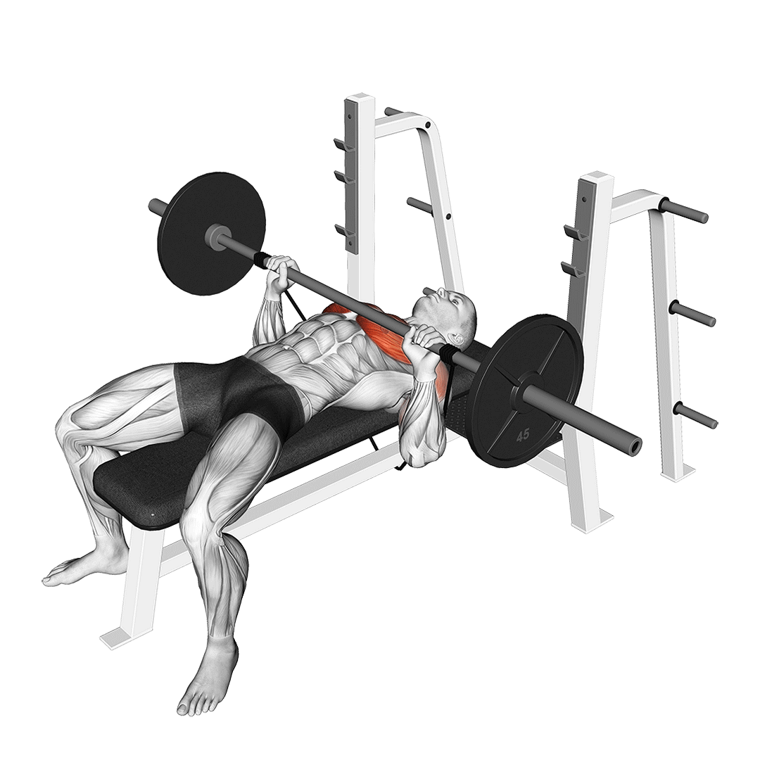 barbell banded bench press