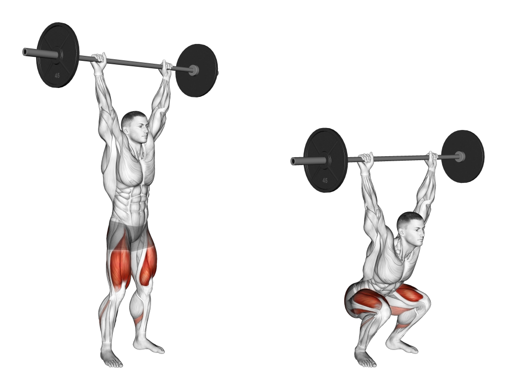 barbell overhead squat muscles