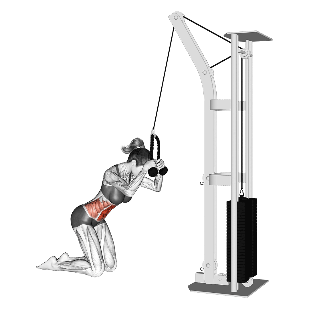 cable knee crunch