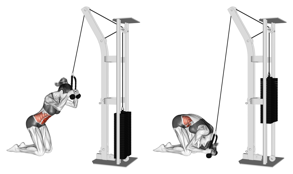 cable kneeling crunch muscles