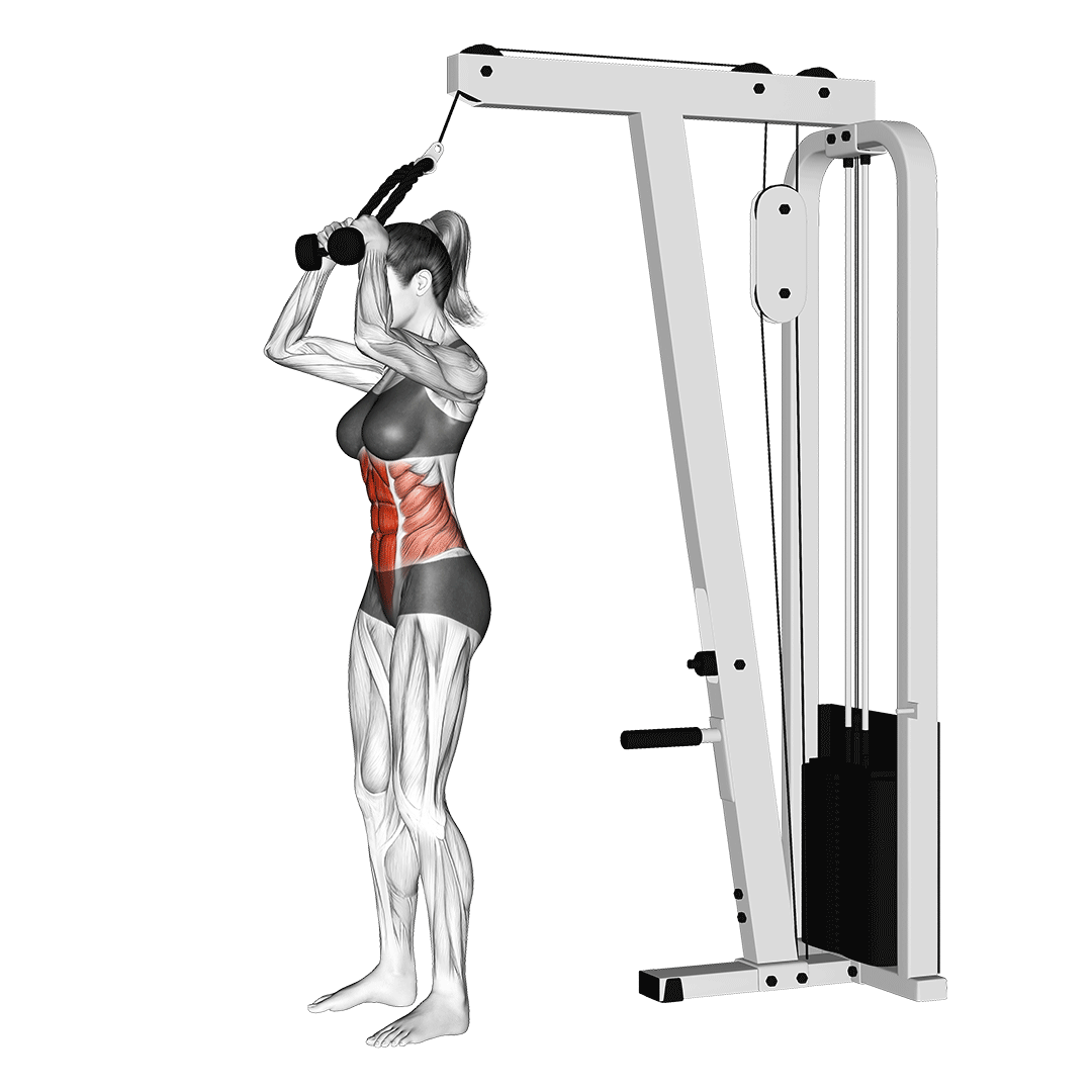 cable standing crunch