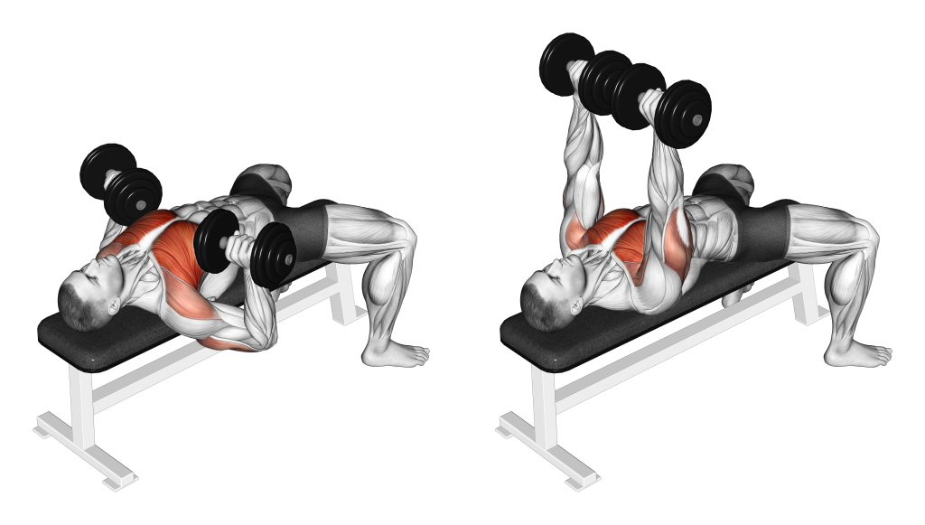 dumbbell bench press muscles