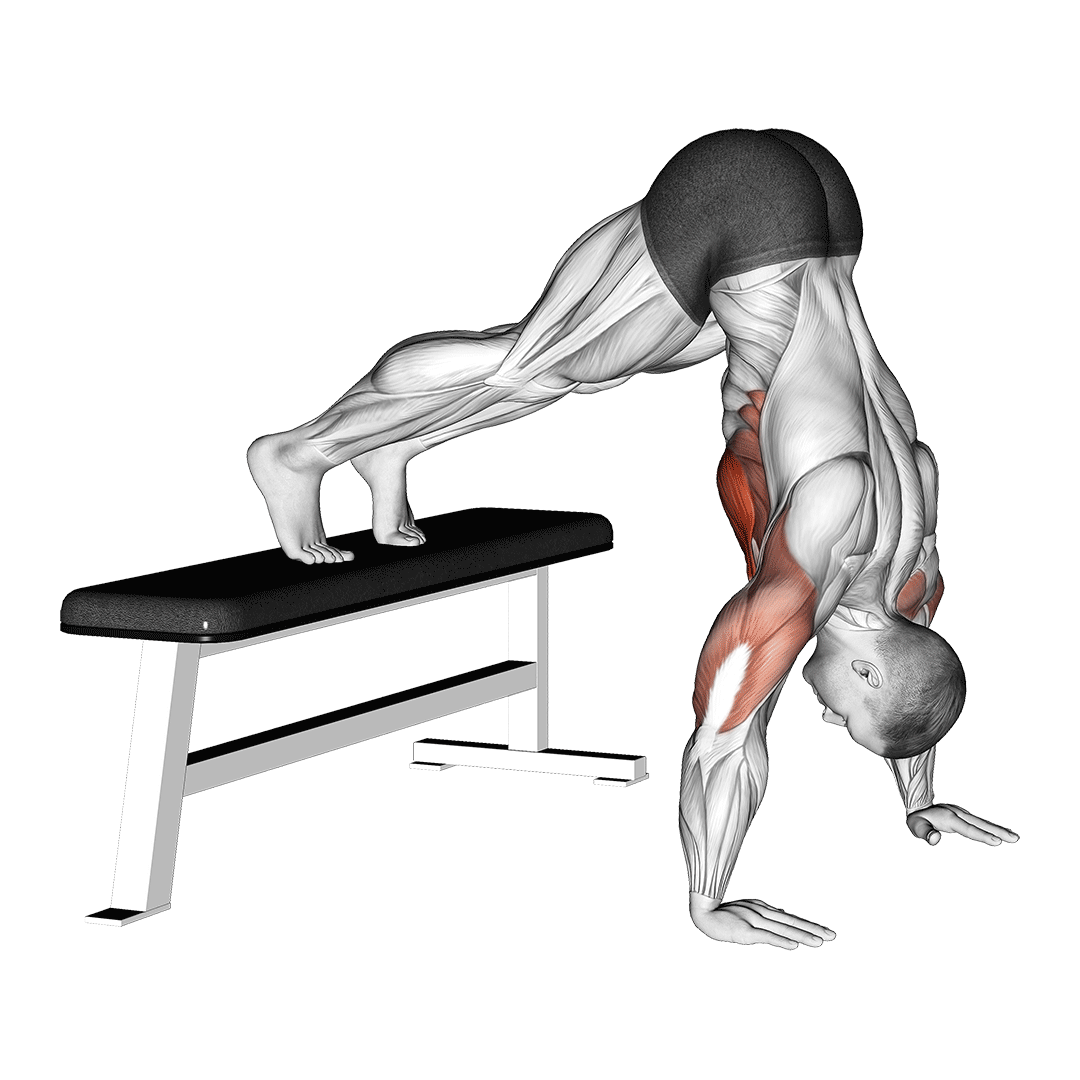 decline pike push up