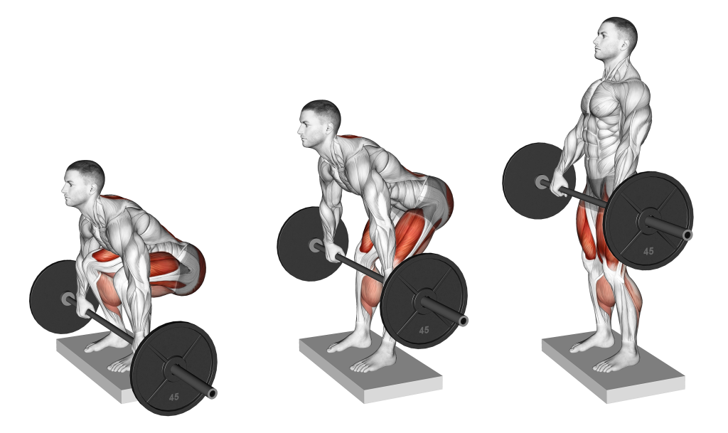 deficit deadlift muscles