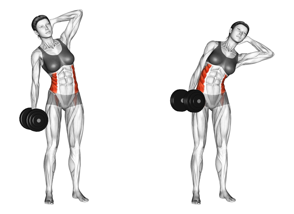dumbbell side bend muscles