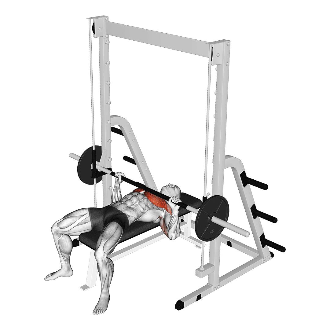 smith machine bench press