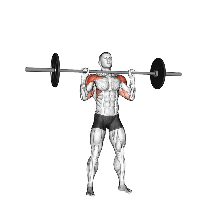 barbell overhead press