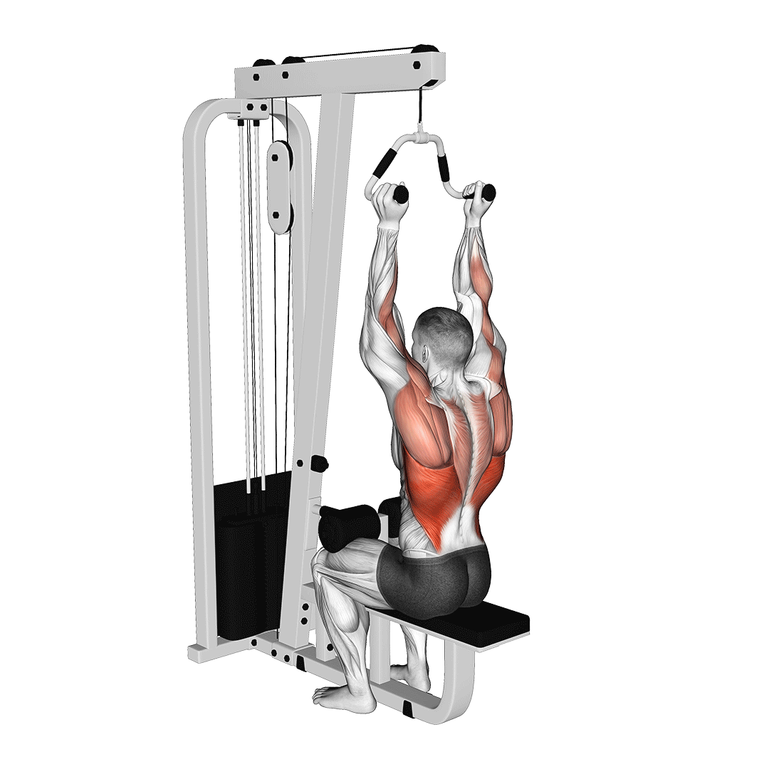 cable neutral grip lat pulldown