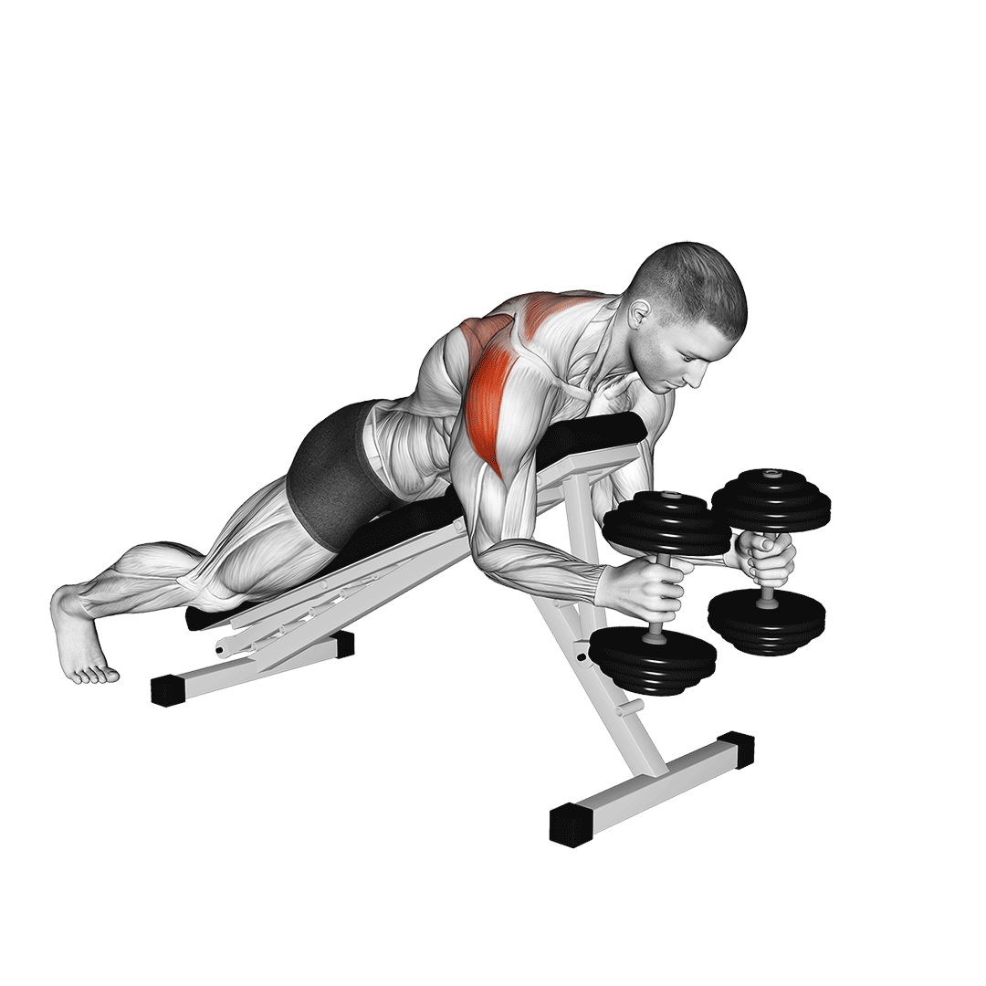 dumbbell w raise
