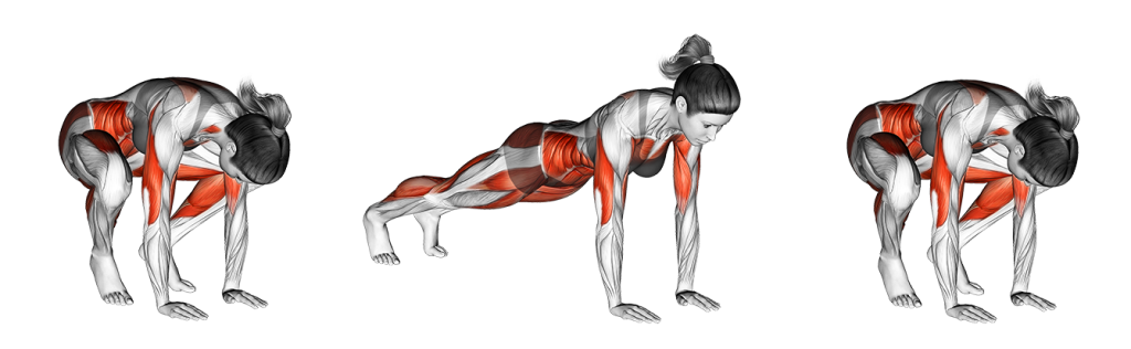 half burpee muscles