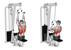 Neutral Grip Lat Pulldown: Benefits, Muscles Worked, and More - Inspire US