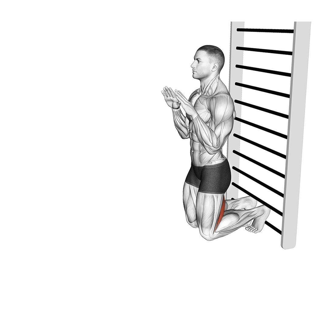 nordic hamstring curl movement