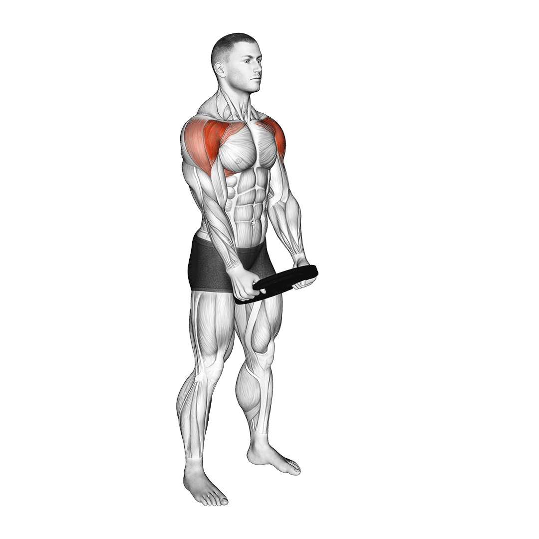plate front raise