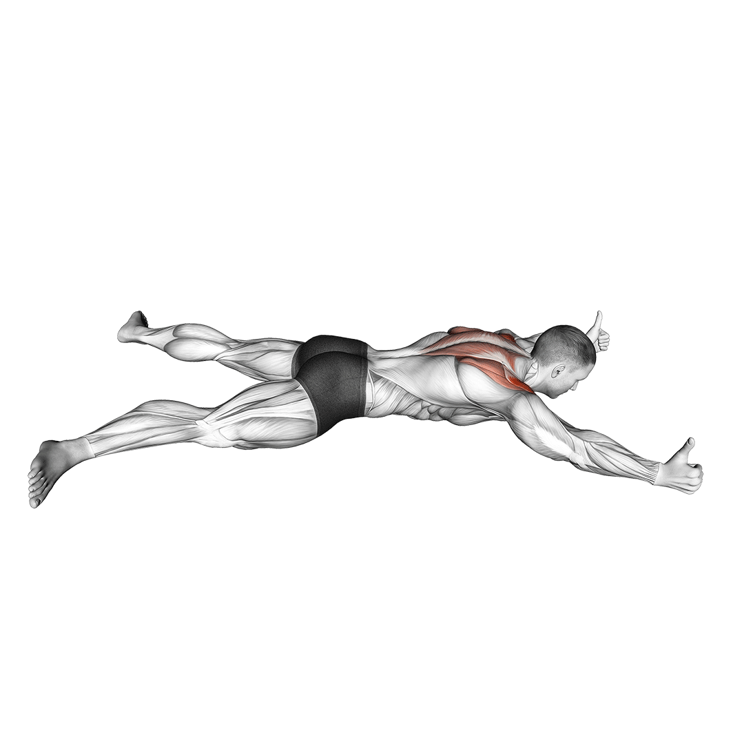 prone y raise movement