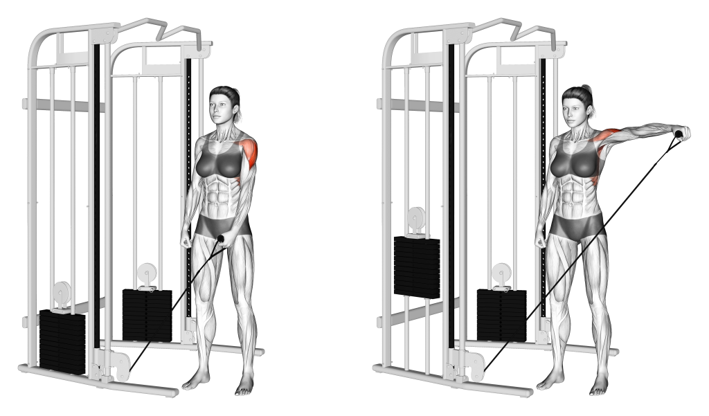 single arm lateral raise muscles worked