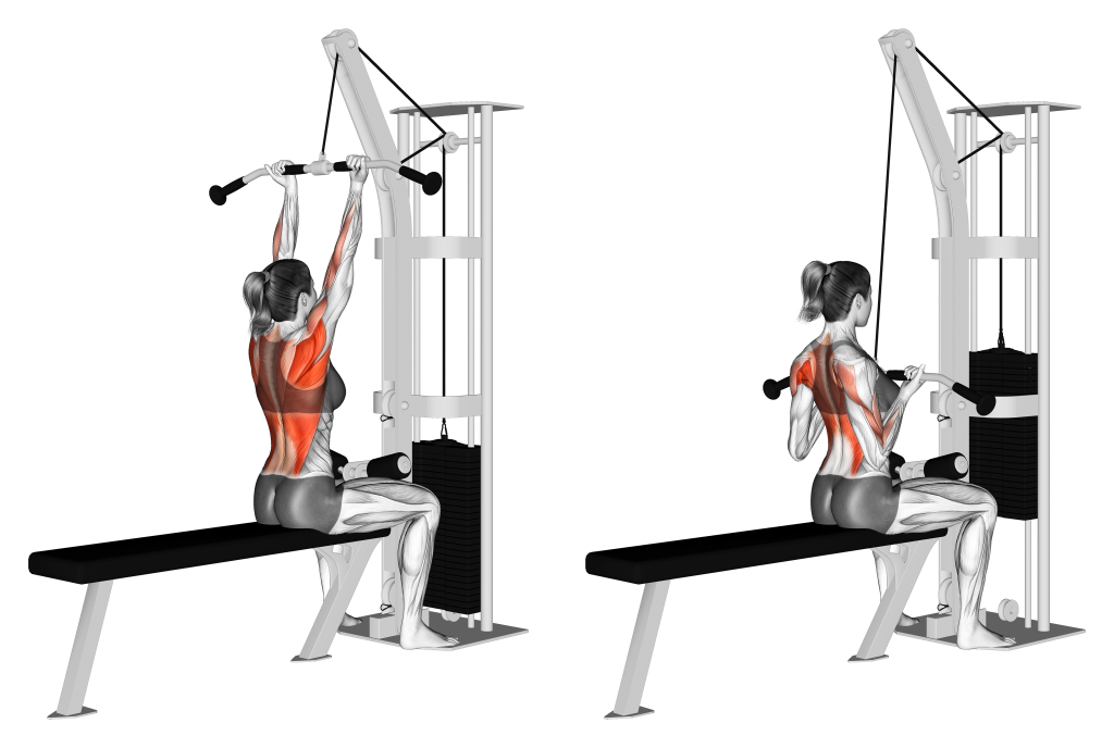 supinated lat pulldown muscles