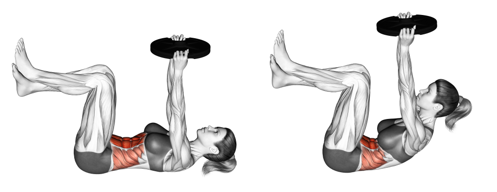weighted knee crunch muscles