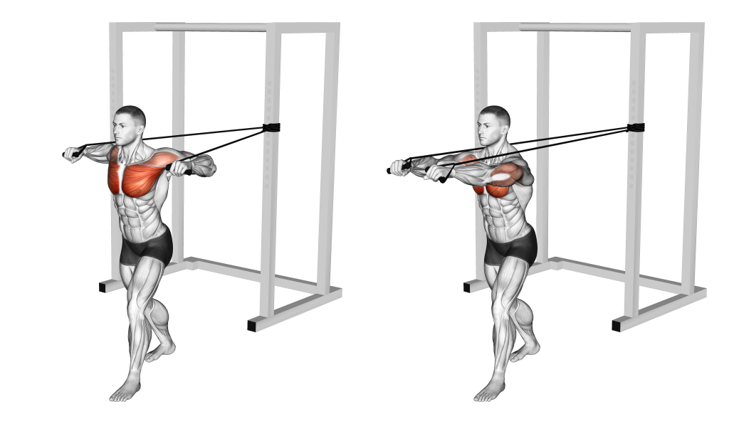 band chest press muscles