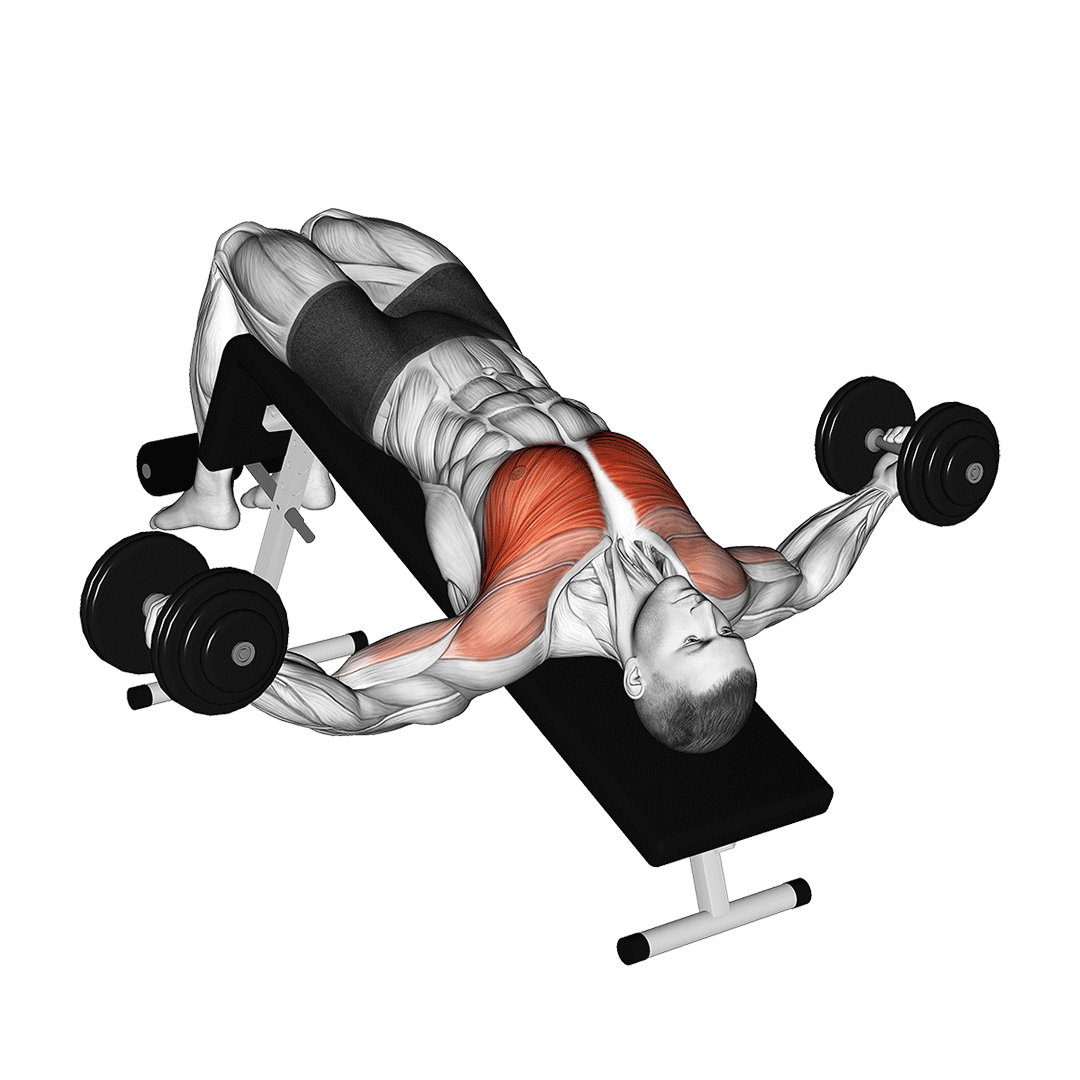 dumbbell decline chest fly