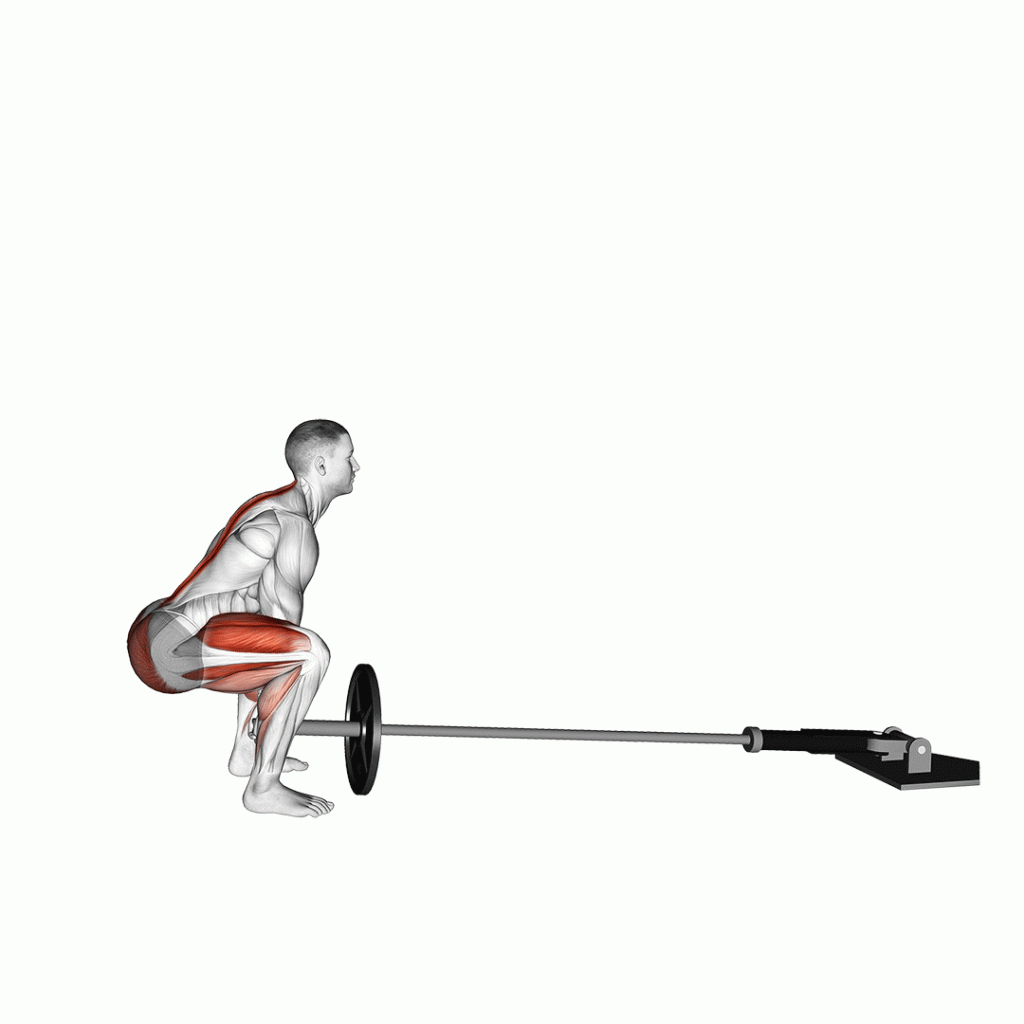 landmine deadlift movement