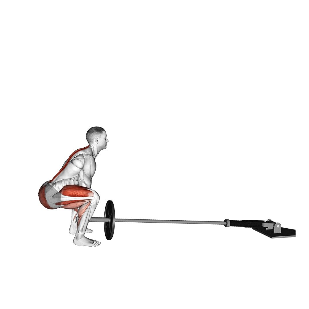 landmine deadlift movement