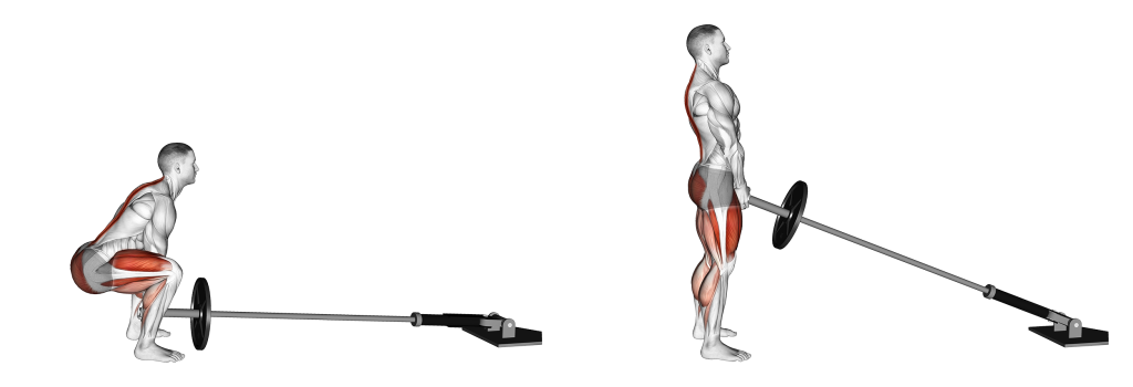 landmine deadlift muscles
