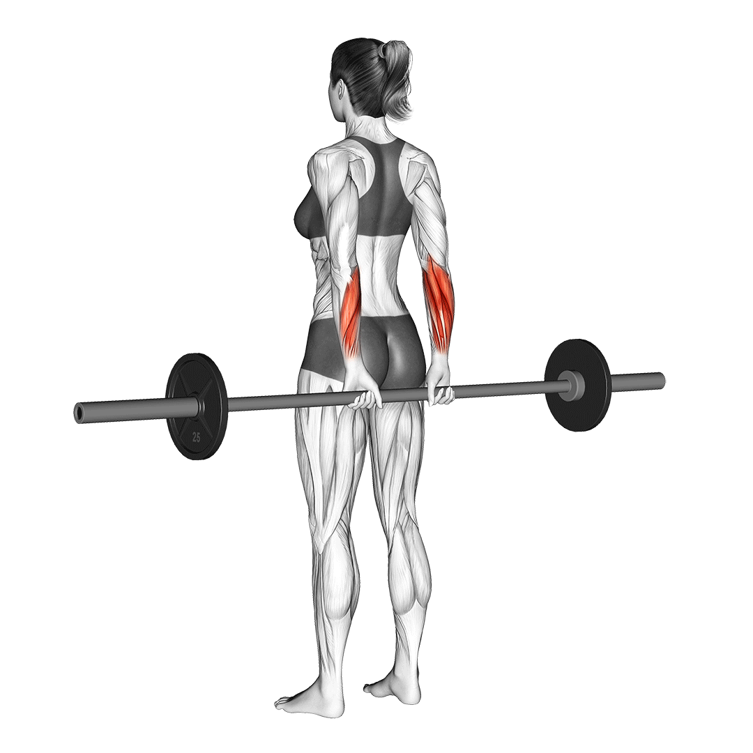behind the back wrist curl