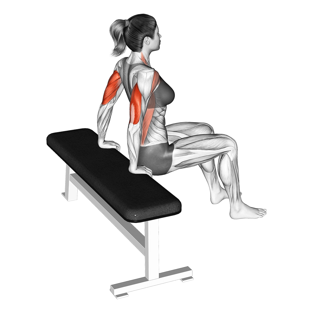 bench dip