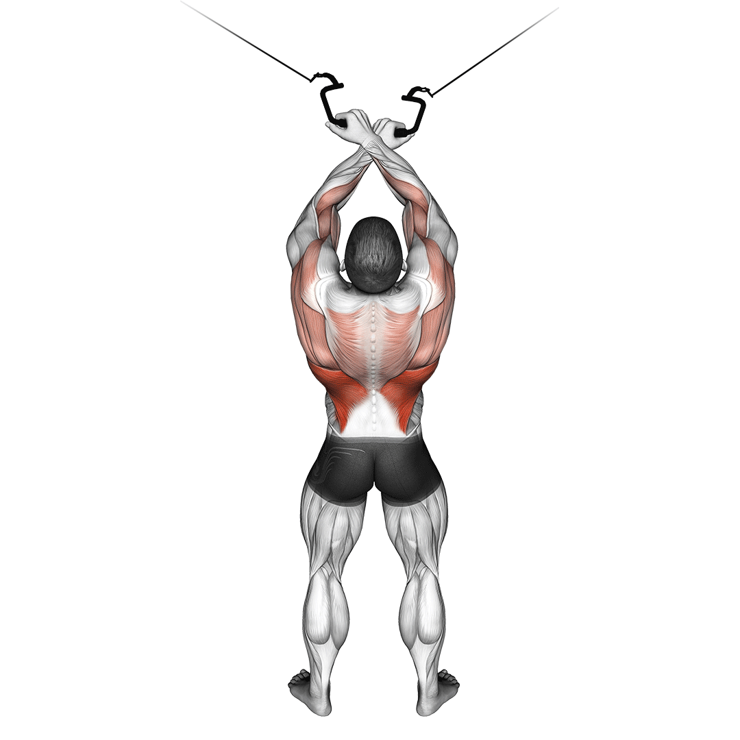cable cross over lat pulldown