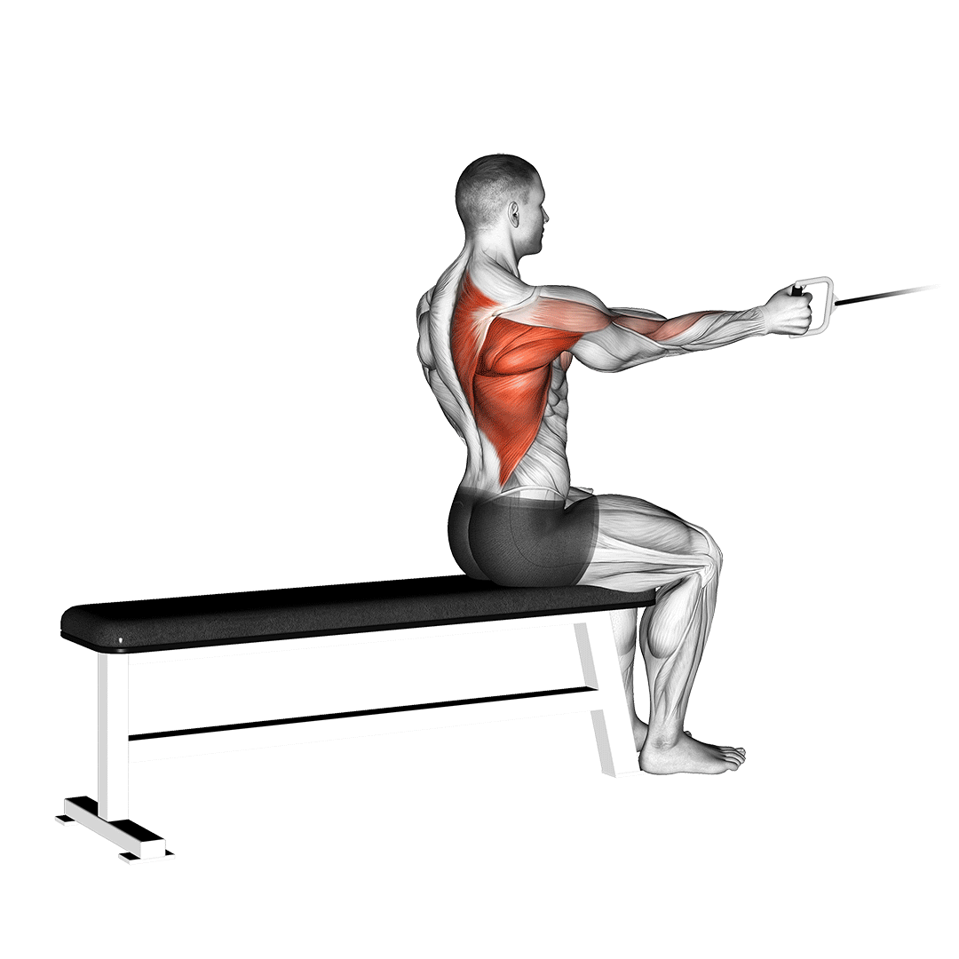 cable one arm seated row