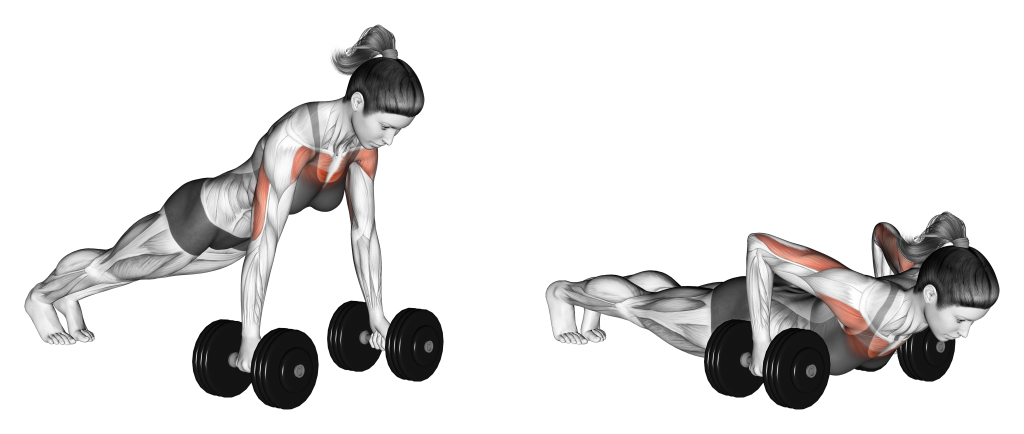 deficit push up muscles