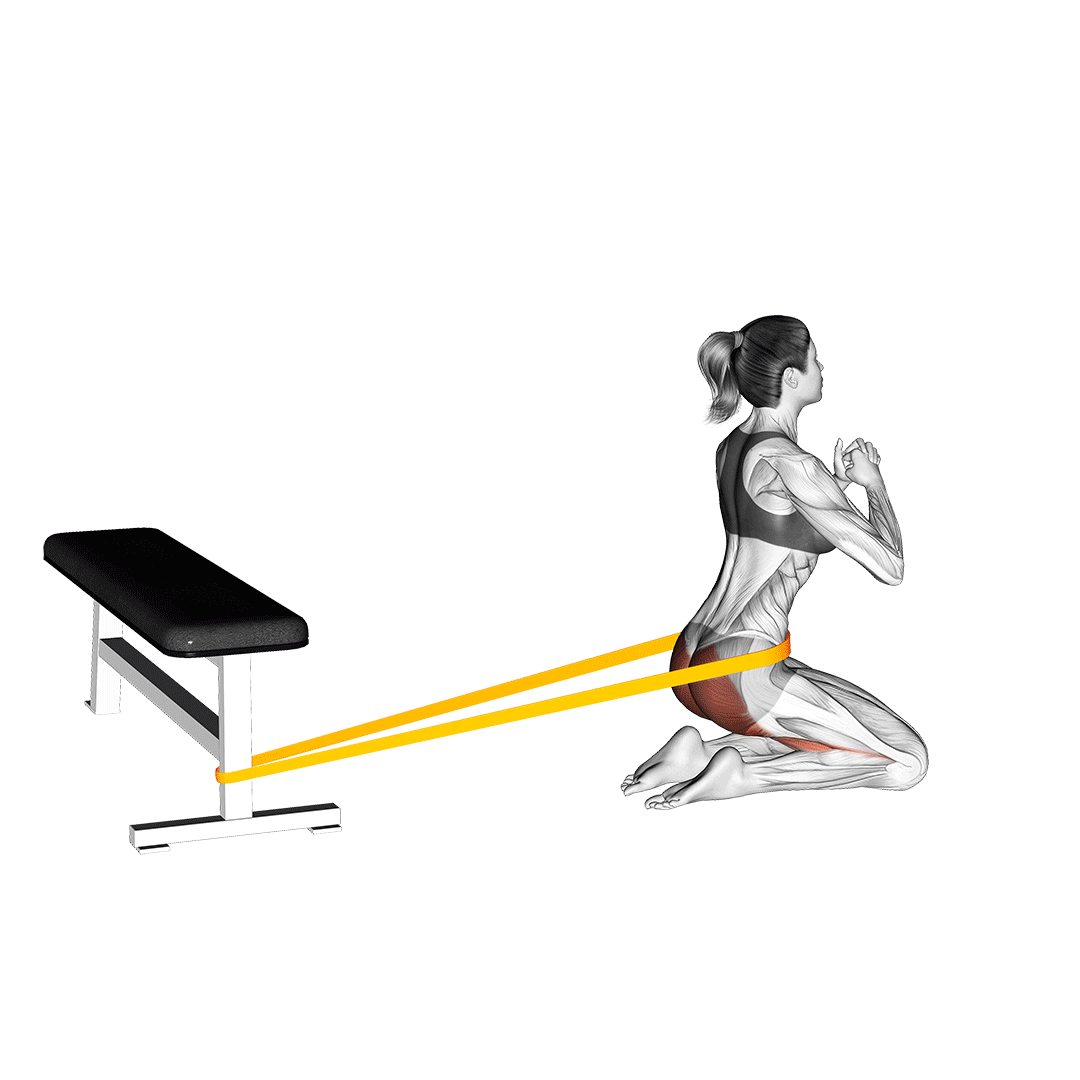 kneeling banded hip thrusts