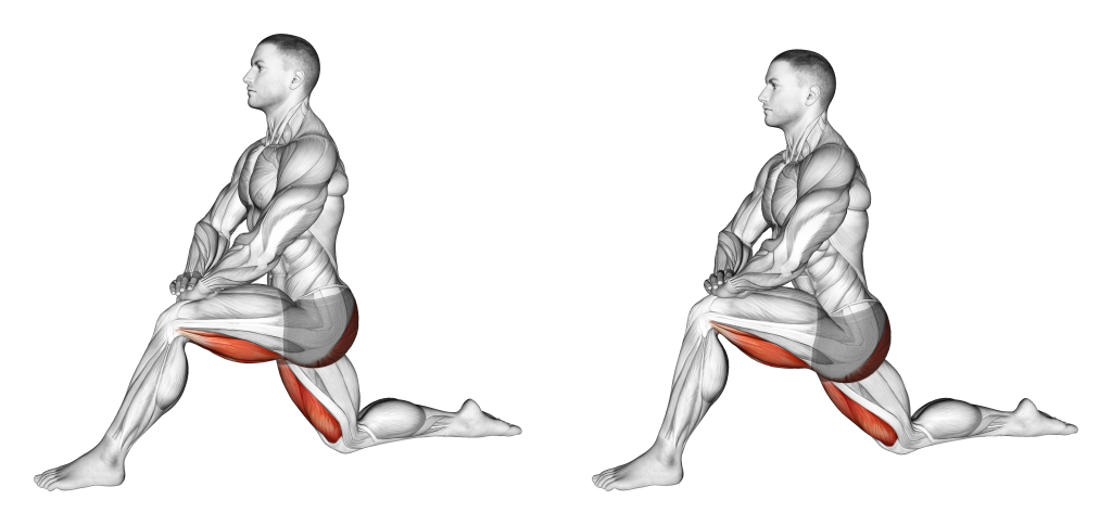 kneeling lunge stretch muscles targeted