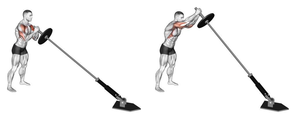landmine shoulder press muscles