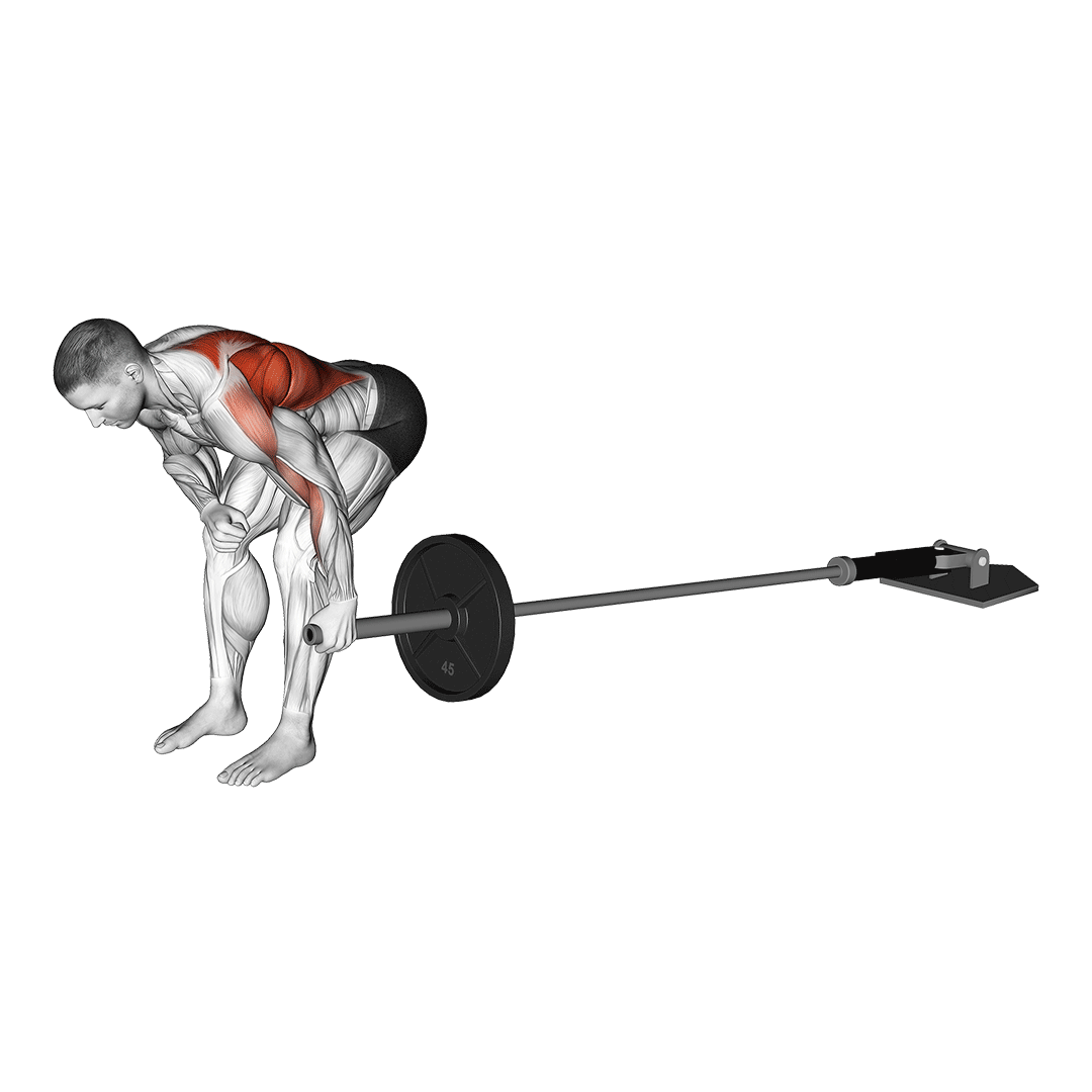 landmine single arm row