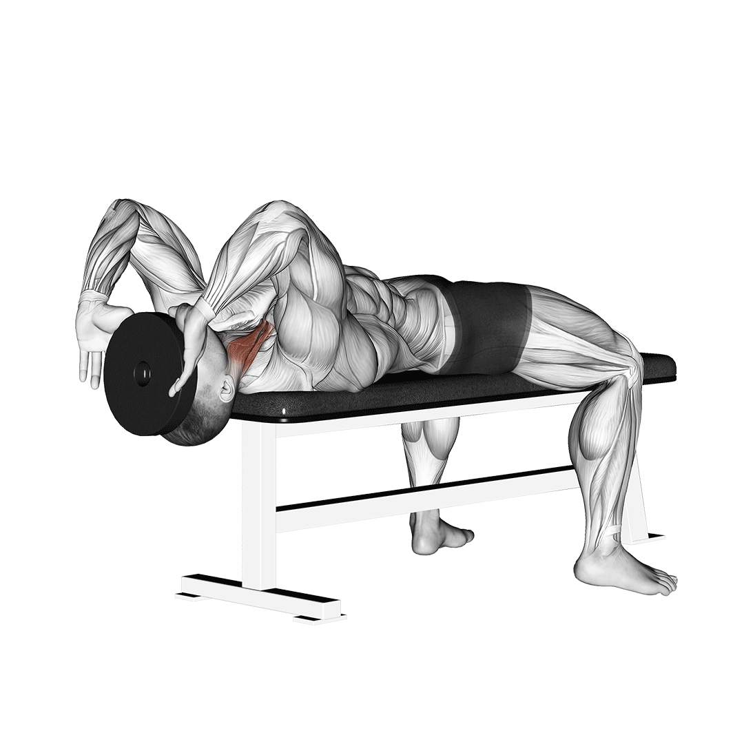 neck curl bench