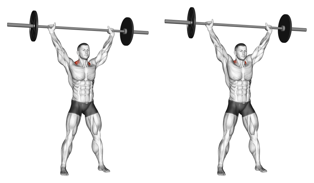 overhead shrug muscles