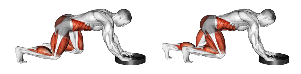 plate push muscles